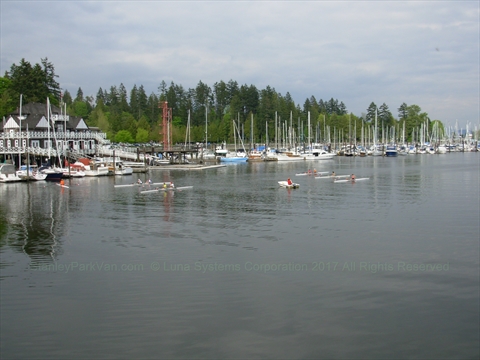 Rowing in Coal Harbour, Vancouver, BC, Canada