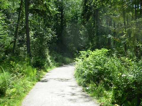 Beaver Lake trail in Stanley Park, Vancouver, BC, Canada