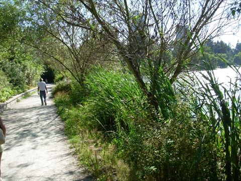 Trail in Stanley Park, Vancouver, BC, Canada