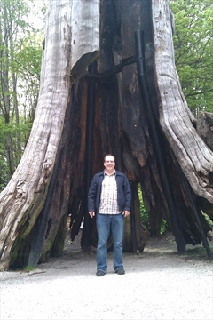Hollow Tree in Stanley Park, Vancouver, BC, Canada