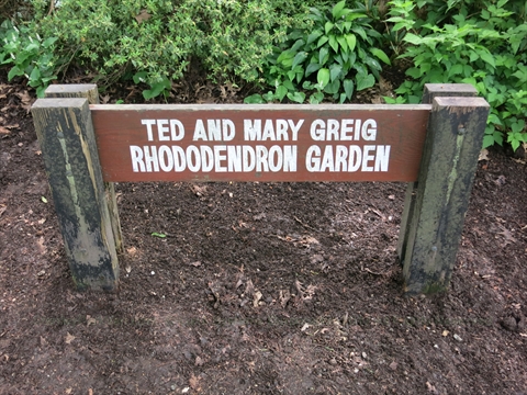 Ted and Mary Greig Rhododendron Garden in Stanley Park, Vancouver, BC, Canada