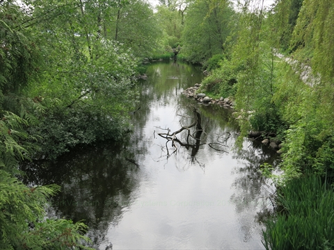 Ceperley Meadow in Stanley Park, Vancouver, BC, Canada