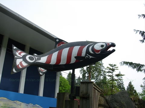 Vancouver Aquarium in Stanley Park, Vancouver, BC, Canada