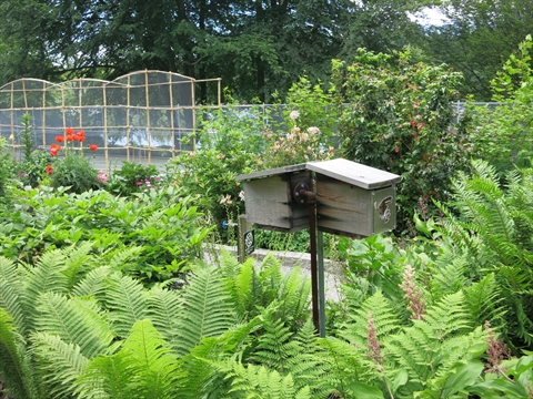 Community Garden in Stanley Park, Vancouver, BC, Canada