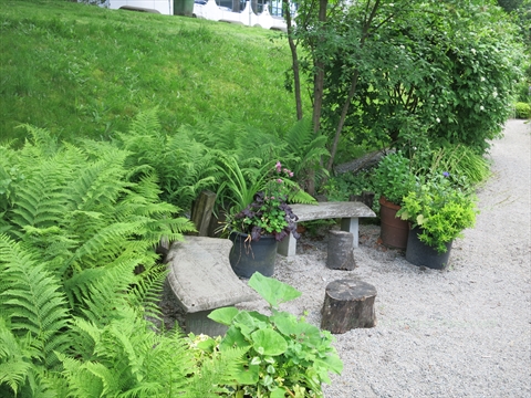 Stanley Park Community Garden, Vancouver, BC, Canada