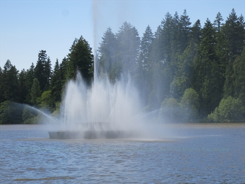 Jubilee Fountain illuminated in Lost Lagoon, Stanley Park, Vancouver, BC, Canada
