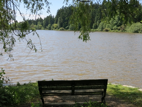 Lost Lagoon in Stanley Park, Vancouver, BC, Canada