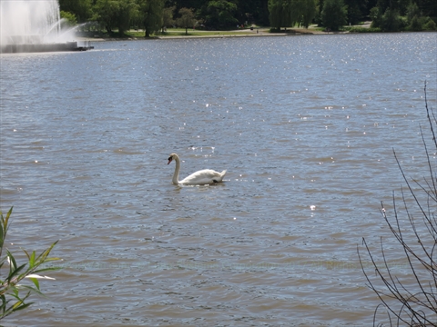 Lost Lagoon in Stanley Park, Vancouver, BC, Canada
