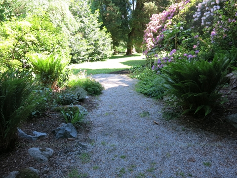 Rock Garden in Stanley Park, Vancouver, BC, Canada