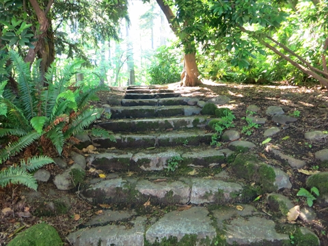 Rock Garden in Stanley Park, Vancouver, BC, Canada