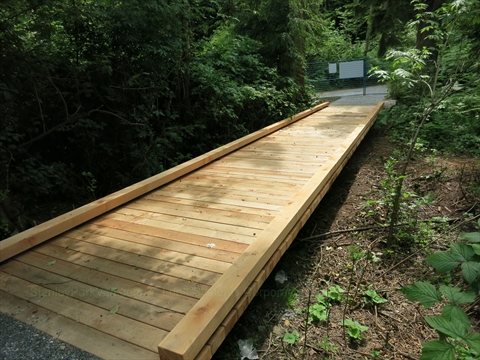 Tunnel trail Boardwalk in Stanley Park, Vancouver, BC, Canada