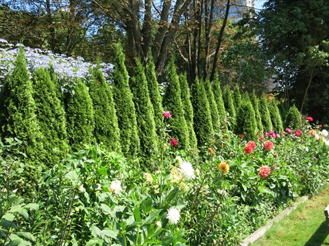 Stanley Park Lawn Bowling Club garden, Vancouver, BC, Canada