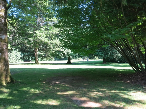 Hollow Tree Picnic Area in Stanley Park, Vancouver, BC, Canada