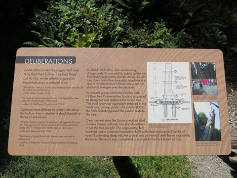 Hollow Tree plaque in Stanley Park, Vancouver, BC, Canada