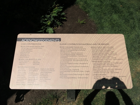 Hollow Tree plaque in Stanley Park, Vancouver, BC, Canada