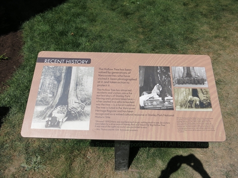Hollow Tree plaque in Stanley Park, Vancouver, BC, Canada