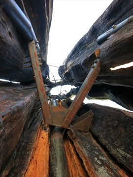 Hollow Tree in Stanley Park, Vancouver, BC, Canada