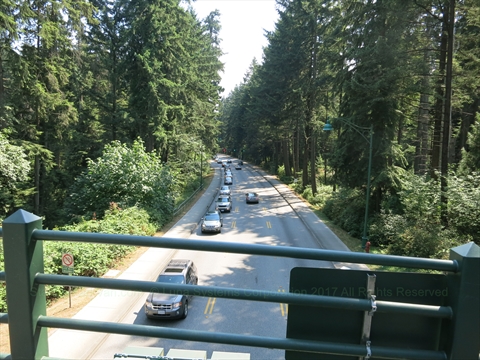 Separated pedestrian paths and safety fencing tracking parallel to the highway