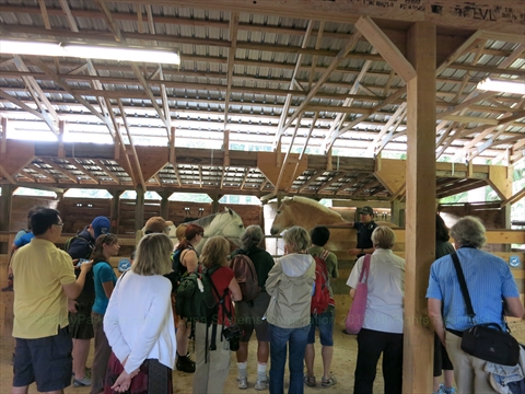 Walking Tour in Stanley Park, Vancouver, BC, Canada