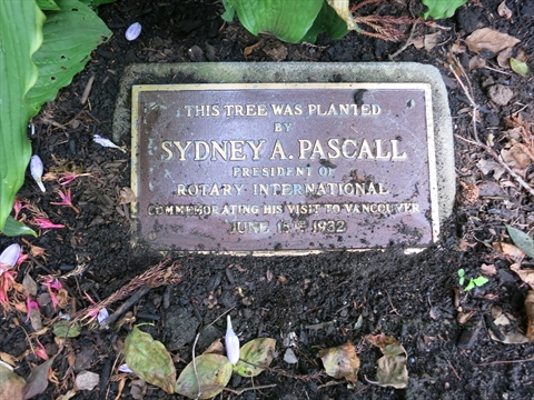 Rotary International Tree plaque in Stanley Park, Vancouver, BC, Canada