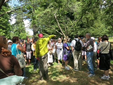 Tour at Celebrate!Stanley Park