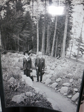 Rock Garden in Stanley Park, Vancouver, BC, Canada