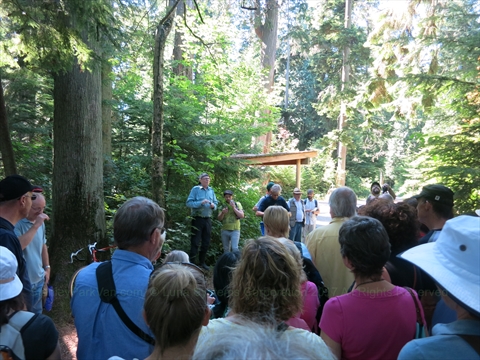 Walking tour in Stanley Park, Vancouver, BC, Canada