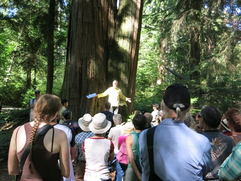 Walking Tour in Stanley Park, Vancouver, BC, Canada