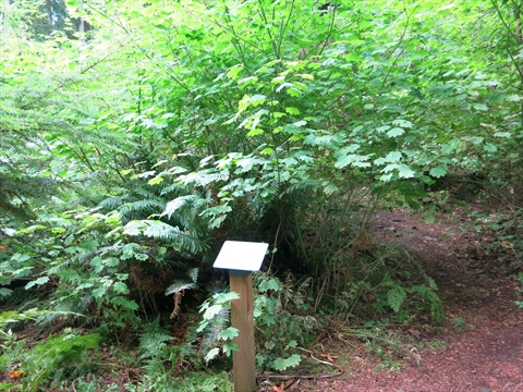 Cozy environmental art work in Stanley Park, Vancouver, BC, Canada