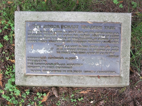 Junior Forest Wardens Tree plaque in Stanley Park, Vancouver, BC, Canada
