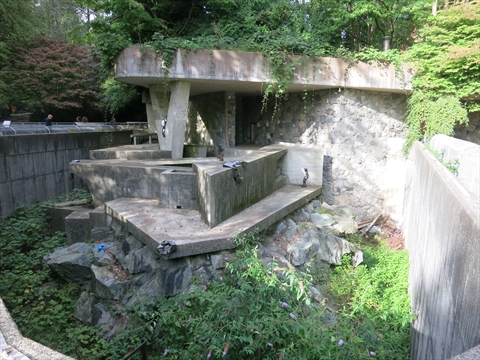 Polar Bear Compound in Stanley Park, Vancouver, BC, Canada