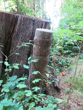 Xapayay Ephemeral Art in Stanley Park, Vancouver, BC, Canada