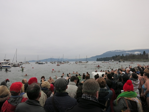 Polar Bear Swim near Stanley Park, Vancouver, BC, Canada