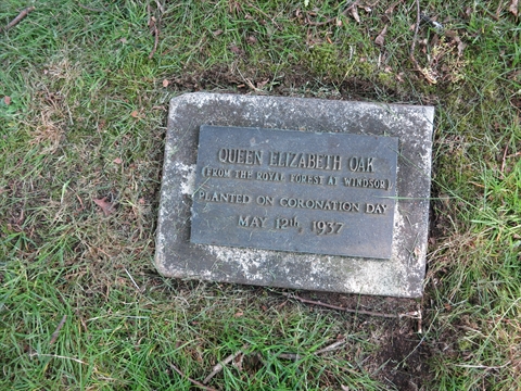 Queen Elizabeth Oak Tree plaque in Stanley Park, Vancouver, BC, Canada