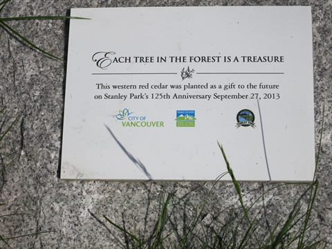 125 Anniversary Tree plaque in Stanley Park, Vancouver, BC, Canada