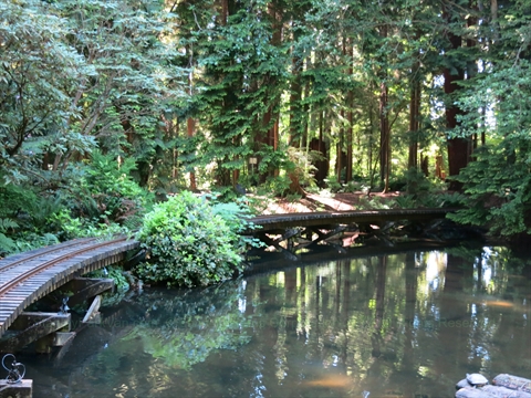 Summer Miniature Train in Stanley Park, Vancouver, BC, Canada