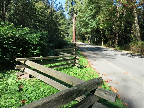 Winding segment of Stanley Park Drive in Stanley Park, Vancouver, BC, Canada