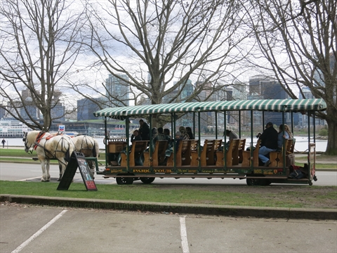 Horse-Drawn Tour of Stanley Park, Vancouver, BC, Canada