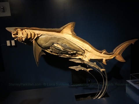 Vancouver Aquarium in Stanley Park, Vancouver, BC, Canada