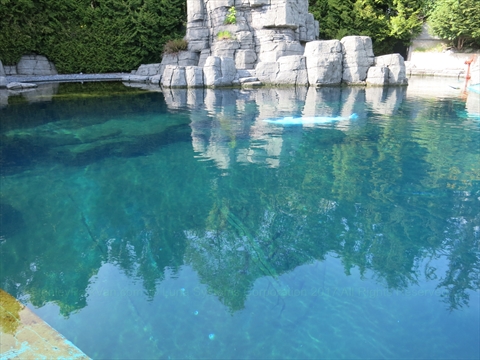 Vancouver Aquarium in Stanley Park, Vancouver, BC, Canada