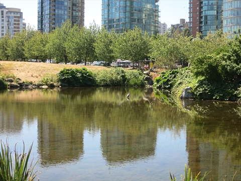 Devonian Harbour Park near Stanley Park, Vancouver, BC, Canada