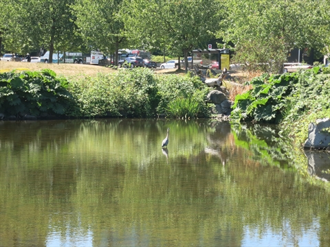 Devonian Harbour Park near Stanley Park, Vancouver, BC, Canada