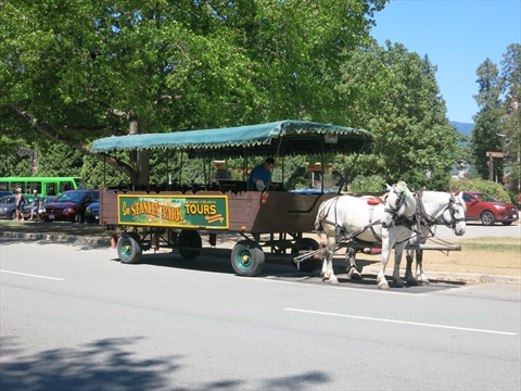 Horse-Drawn Tour of Stanley Park, Vancouver, BC, Canada
