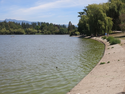 Lost Lagoon in Stanley Park, Vancouver, BC, Canada