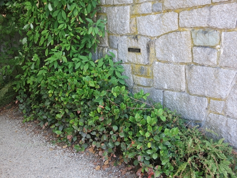 Victor Cottingham plaque in Stanley Park