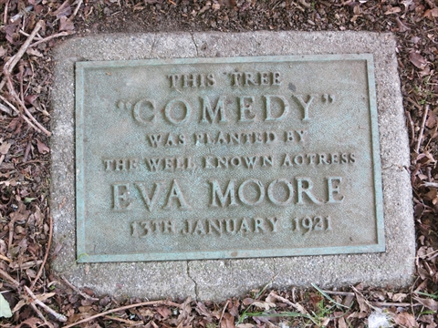 Comedy Tree plaque in Stanley Park, Vancouver, BC, Canada
