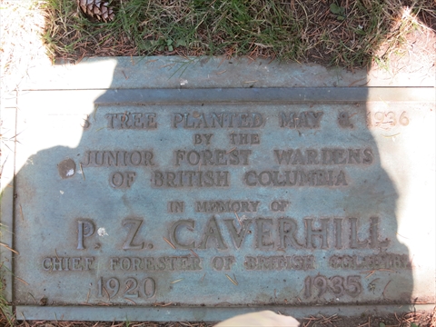 Peter Caverhill Tree plaque in Stanley Park, Vancouver, BC, Canada