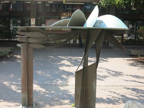 The Swimmer in False Creek, Vancouver, BC, Canada