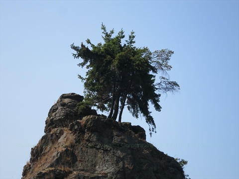 Siwash Rock in Stanley Park, Vancouver, BC, Canada
