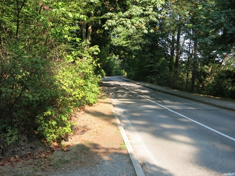 North Lagoon Drive tracing a path between the trees
